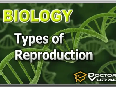 hình thu nhỏ của khóa học