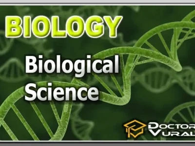 hình thu nhỏ của khóa học