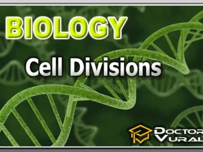 hình thu nhỏ của khóa học