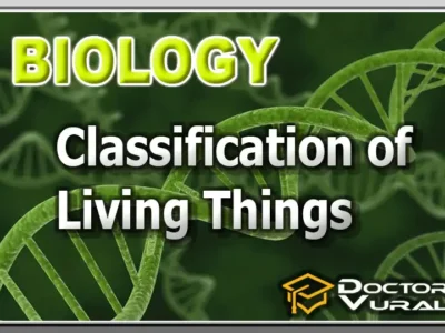 hình thu nhỏ của khóa học