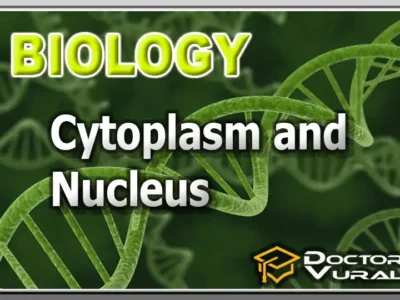 hình thu nhỏ của khóa học