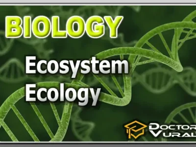 hình thu nhỏ của khóa học