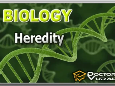 hình thu nhỏ của khóa học