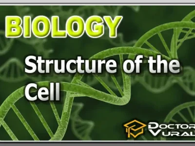 hình thu nhỏ của khóa học