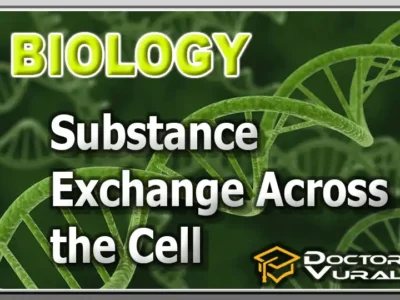 hình thu nhỏ của khóa học