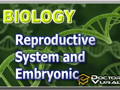 hình thu nhỏ của khóa học