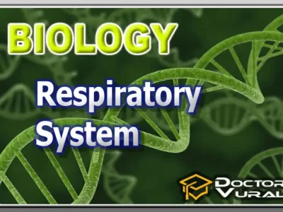 hình thu nhỏ của khóa học
