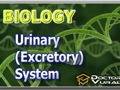 hình thu nhỏ của khóa học