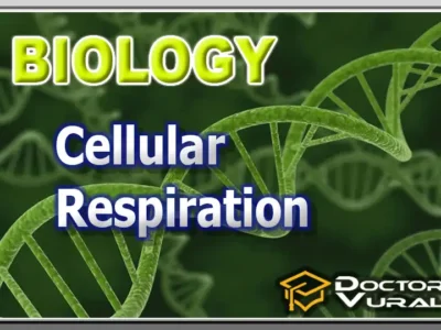 hình thu nhỏ của khóa học