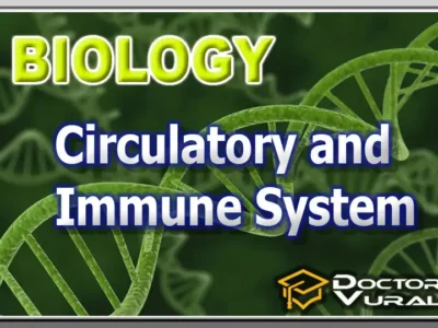 hình thu nhỏ của khóa học