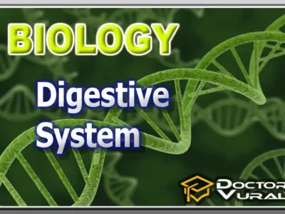 hình thu nhỏ của khóa học