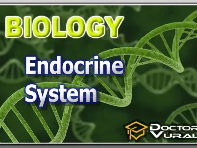 hình thu nhỏ của khóa học