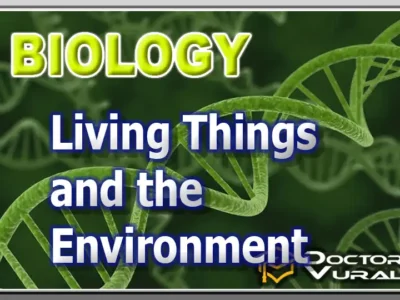 hình thu nhỏ của khóa học