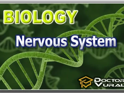 hình thu nhỏ của khóa học