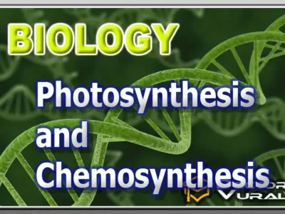 hình thu nhỏ của khóa học