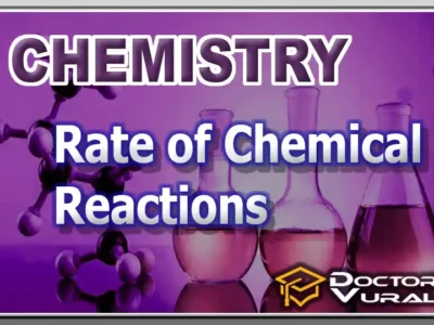 hình thu nhỏ của khóa học