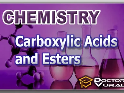 hình thu nhỏ của khóa học